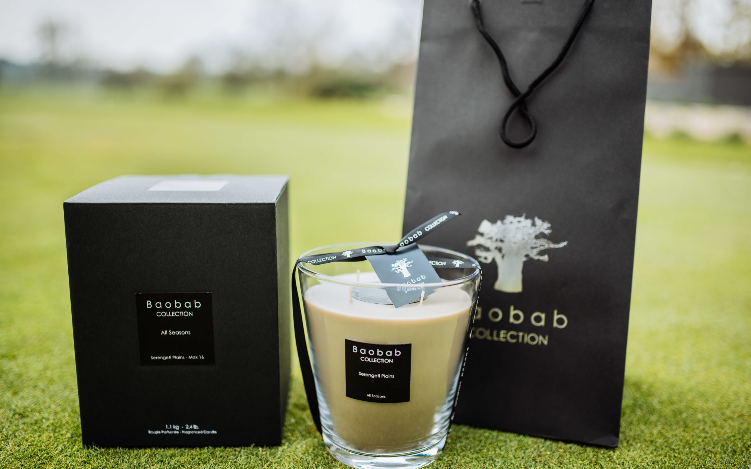 pro Am business class -0449