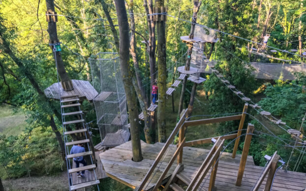 Team Building accrobranche