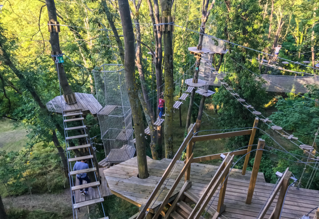 Team Building accrobranche