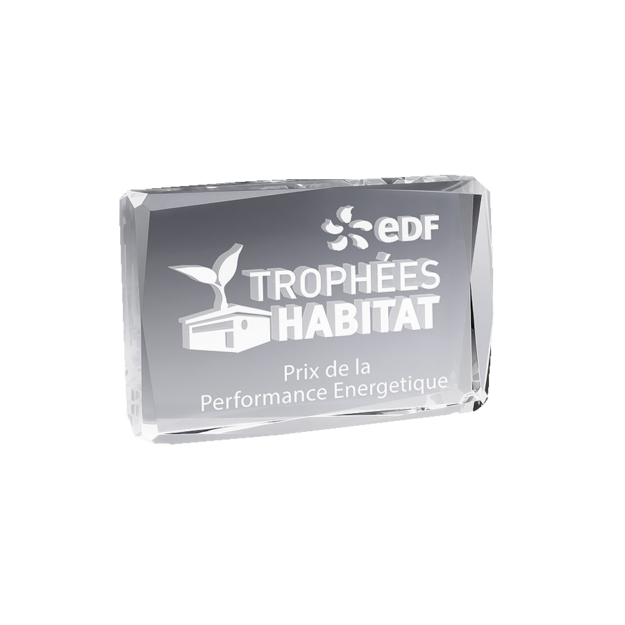 Trophée en verre facetté personnalisable