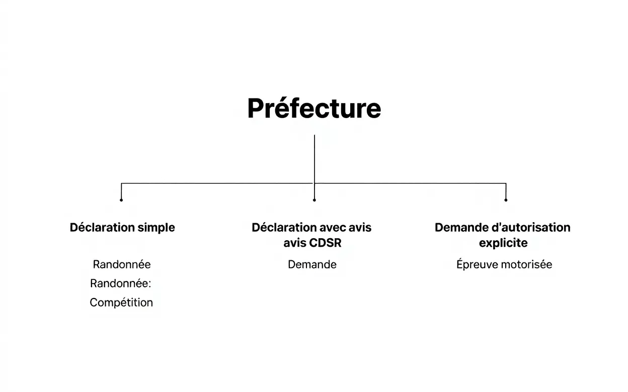 Régime juridique des manifestations sportives