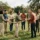 Groupe divers d’employés faisant équipe dans un parc, tirant ensemble une corde lors d’un jeu d’atelier, pour des activités groupe entreprise.